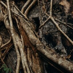 Pexels cottonbro studio 4429283