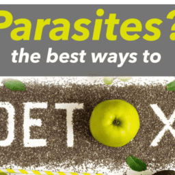 holistic doctor in Lansing MI