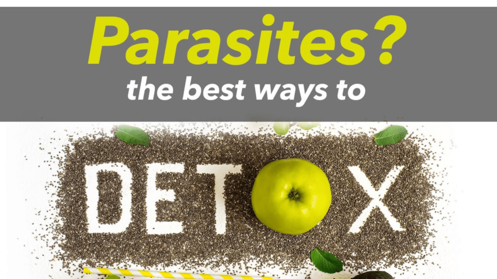 Parasites and Your Health: Symptoms, Prevention, and Cleansing Techniques