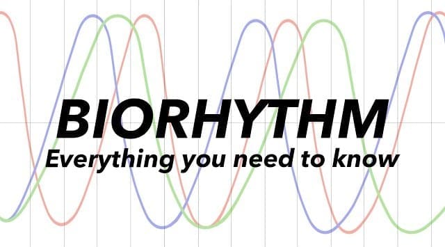 Biorhythm