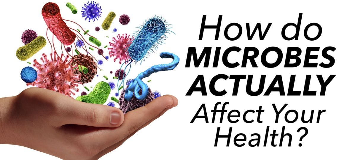Microbesthumbnail